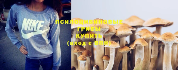 a pvp Няндома