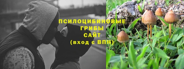 a pvp Няндома