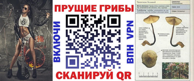 как найти закладки  Цимлянск  Галлюциногенные грибы Psilocybine cubensis 